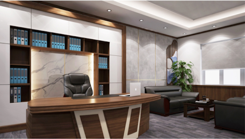 Director's office Director's office design