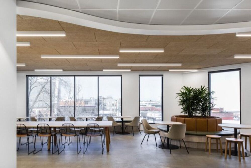 office design 50m2