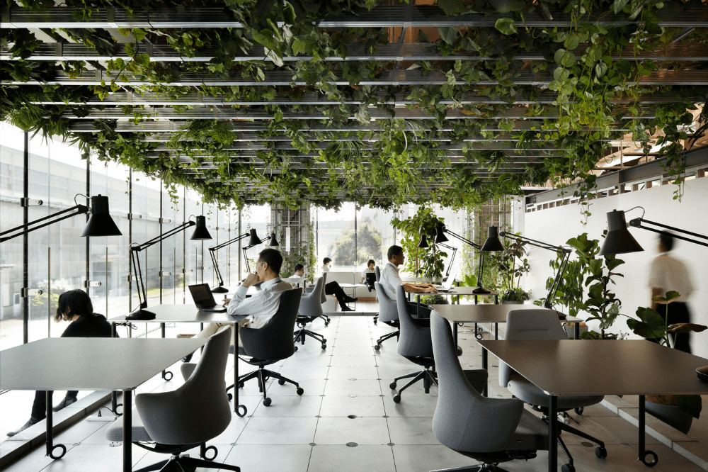 50m2 office design