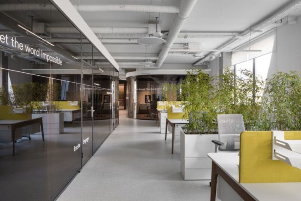Office 50m2