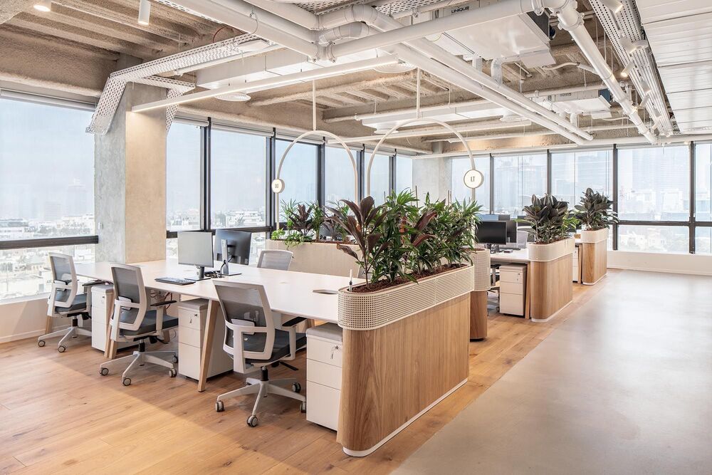office 80m2 office 80m2