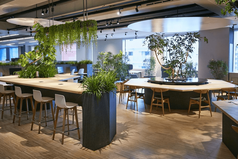 office design 25m2 office design 25m2