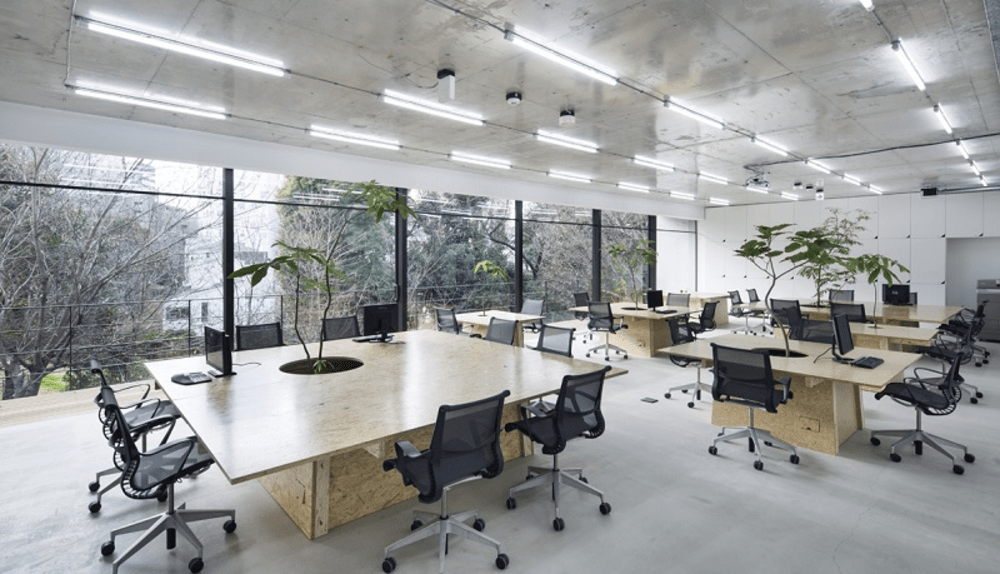 office design 30m2 office design 30m2