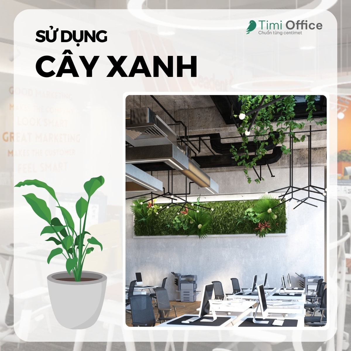 Use appropriate green plants Use appropriate green plants