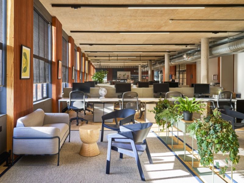 Office with green plants