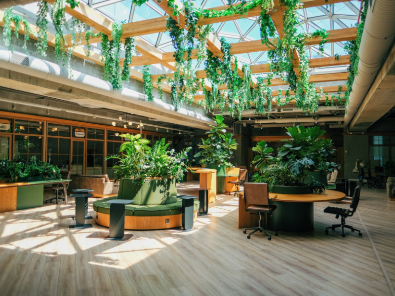professional office design